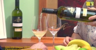 SALON-Sieger 2015: Weingut Lentsch