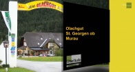Olachgut